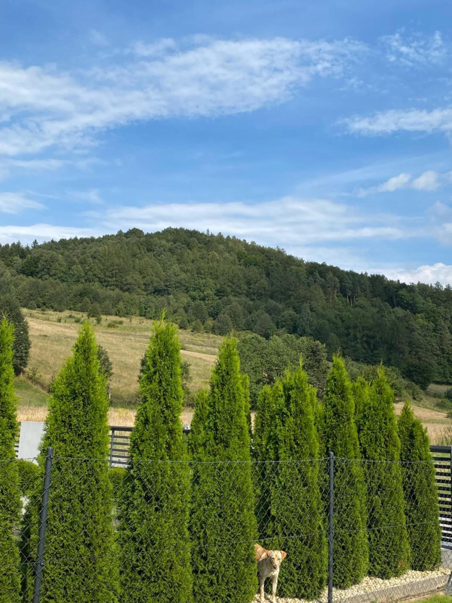 Domek Pod Sosnowa Gora Zelazno  Exteriör bild